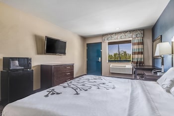 Room, 1 King Bed, Accessible, Non Smoking