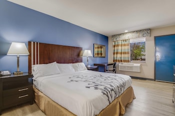 Standard Room, 1 King Bed, Smoking