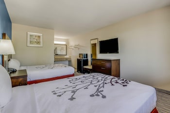 Standard Room, 2 Double Beds, Smoking