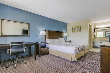 Room, 1 King Bed, Accessible, Non Smoking