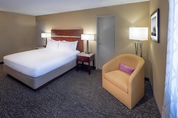 Room, 1 King Bed