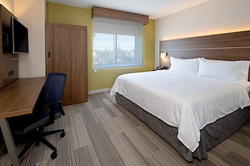 Suite, 1 King Bed, Accessible (Roll-In Shower)