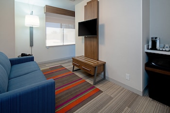 Suite, 1 King Bed, Accessible (Roll-In Shower)