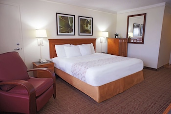 Room, 1 King Bed, Accessible, Non Smoking (Mobility Accessible)