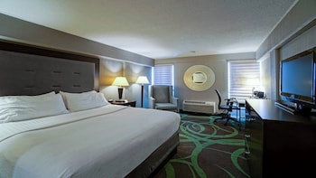 Suite, 1 Bedroom