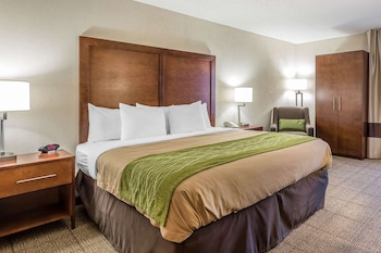 Standard Room, 1 King Bed, Non Smoking