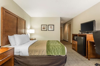 Room, 1 Queen Bed, Accessible, Non Smoking