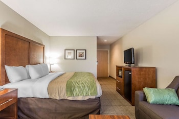 Standard Room, 1 King Bed, Non Smoking