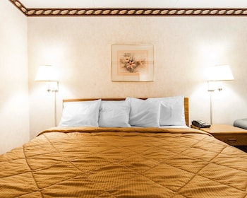 Standard Room, 1 King Bed, Non Smoking