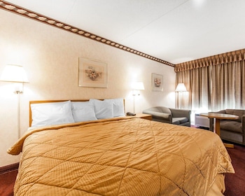 Standard Room, 1 King Bed, Non Smoking