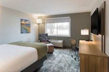 Standard Room, 1 King Bed