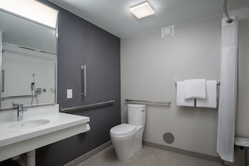 Basic Room, 1 King Bed with Sofa bed (Mobility/Hearing Access, Roll-in Shwr)