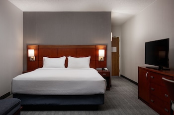 Room, 1 King Bed with Sofa bed (Hearing Accessible)