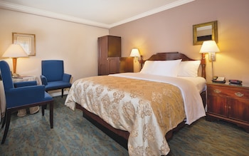 Junior Suite, 1 Queen Bed