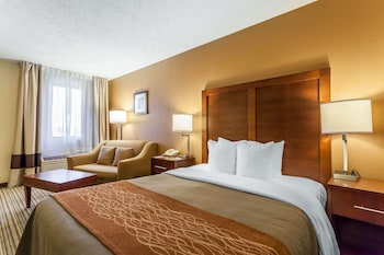 Standard Room, 1 Queen Bed with Sofa bed, Non Smoking