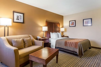 Standard Room, 1 Queen Bed with Sofa bed, Non Smoking