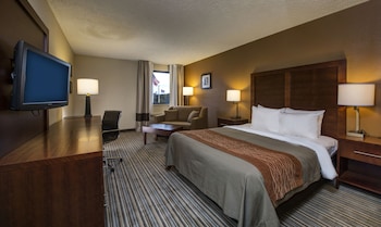 Standard Room, 1 Queen Bed with Sofa bed, Non Smoking