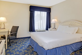 Suite, 1 King Bed