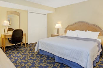 Suite, 1 King Bed