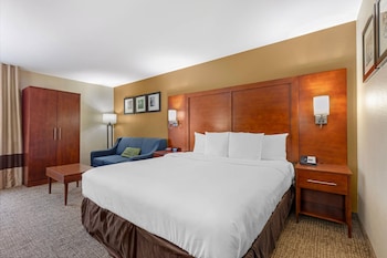 Standard Room, 1 King Bed with Sofa bed, Non Smoking
