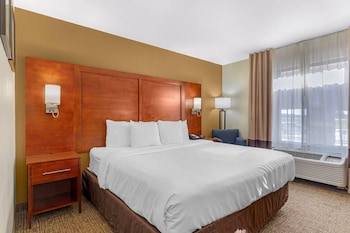 1 King Bed, Nonsmoking