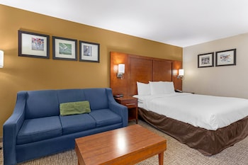 Standard Room, 1 King Bed with Sofa bed, Non Smoking