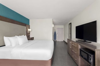 Room, 1 King Bed, Accessible, Non Smoking (Bathtub w/ Grab Bars)