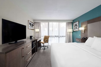 Room, 1 King Bed, Accessible, Non Smoking (Bathtub w/ Grab Bars)