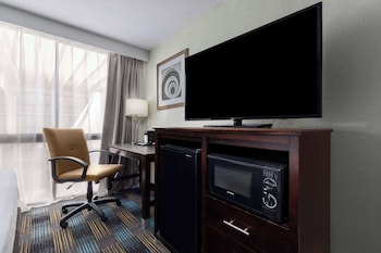 Room, 1 King Bed, Accessible, Non Smoking (Roll-In Shower)