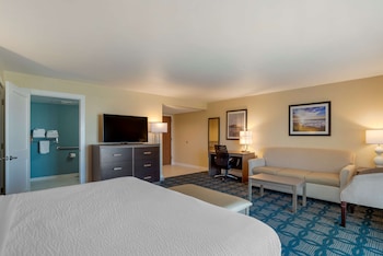 Standard Room, 1 King Bed, Accessible, Balcony (Walk-in Shower;with Sofabed)