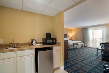 Standard Room, 1 King Bed, Non Smoking, Balcony (Shower Only with Sofabed)