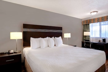 Room, 1 King Bed, Non Smoking