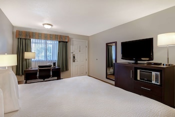 Room, 1 King Bed, Non Smoking