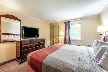 Deluxe Room, 1 King Bed, Non Smoking