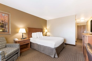 Standard Room, 1 Queen Bed, Non Smoking, Refrigerator & Microwave