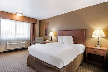Standard Room, 1 Queen Bed, Non Smoking, Refrigerator & Microwave