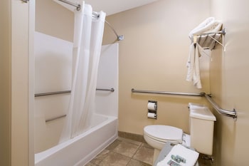 Standard Room, 1 Queen Bed, Accessible, Refrigerator & Microwave