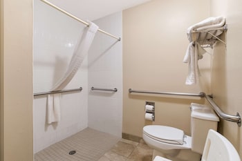 Standard Room, 1 Queen Bed, Accessible, Refrigerator & Microwave