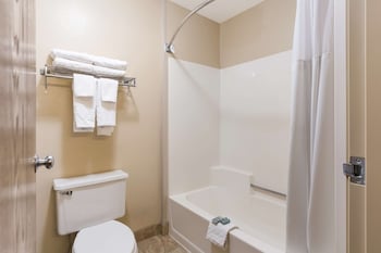 Standard Room, 1 King Bed, Non Smoking, Refrigerator & Microwave