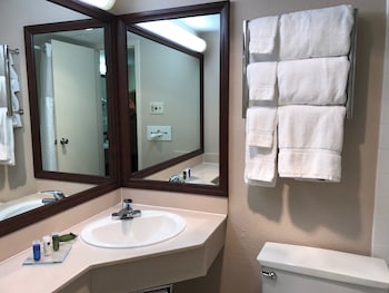 Room, 1 King Bed, Accessible, Non Smoking (Roll-in Shower)