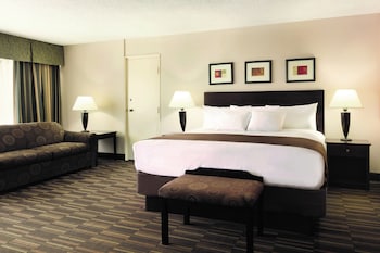 Studio Suite, 1 King Bed with Sofa bed, Non Smoking