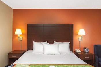 Room, 1 King Bed, Accessible, Non Smoking (Mobility/Hearing Impaired)
