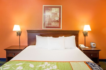 Room, 1 King Bed, Accessible, Non Smoking (Mobility/Hearing Impaired)