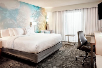 Room, 1 King Bed with Sofa bed