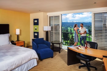 Executive Room, Mountain View, Executive Level