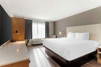 Standard Room, 1 King Bed, Non Smoking, Refrigerator & Microwave