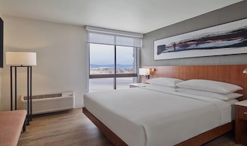 Suite, 1 King Bed with Sofa bed