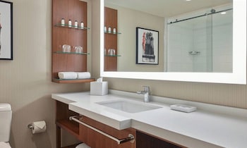 Suite, 1 King Bed with Sofa bed