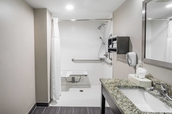 Room, 1 King Bed with Sofa bed, Accessible, Non Smoking (Roll-In Shower)