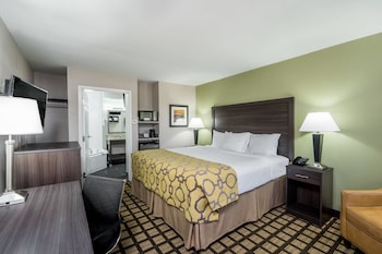 Business Room, 1 King Bed, Non Smoking